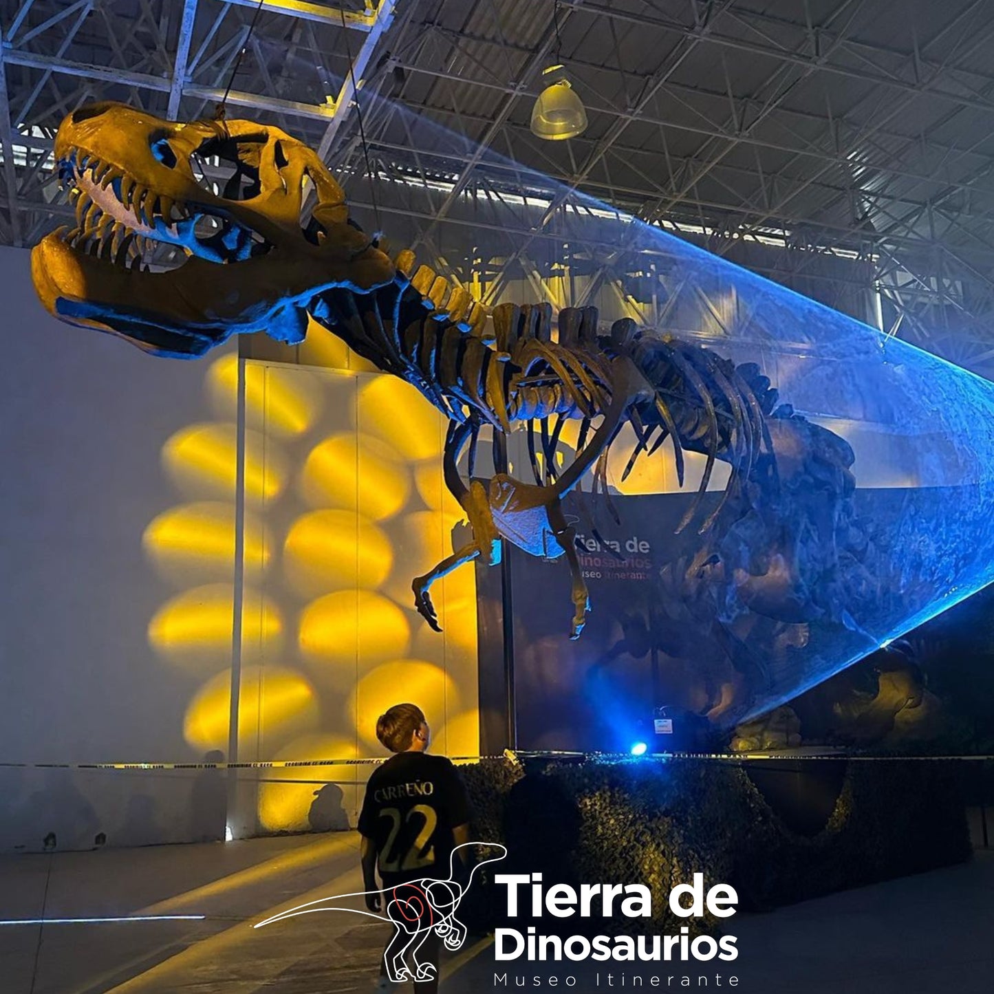 
                  
                    TIERRA DE DINOSAURIOS 21/NOV 11AM - 7PM
                  
                