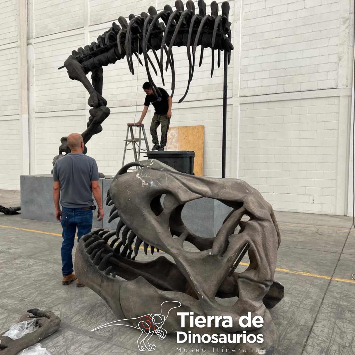 
                  
                    TIERRA DE DINOSAURIOS 21/NOV 11AM - 7PM
                  
                