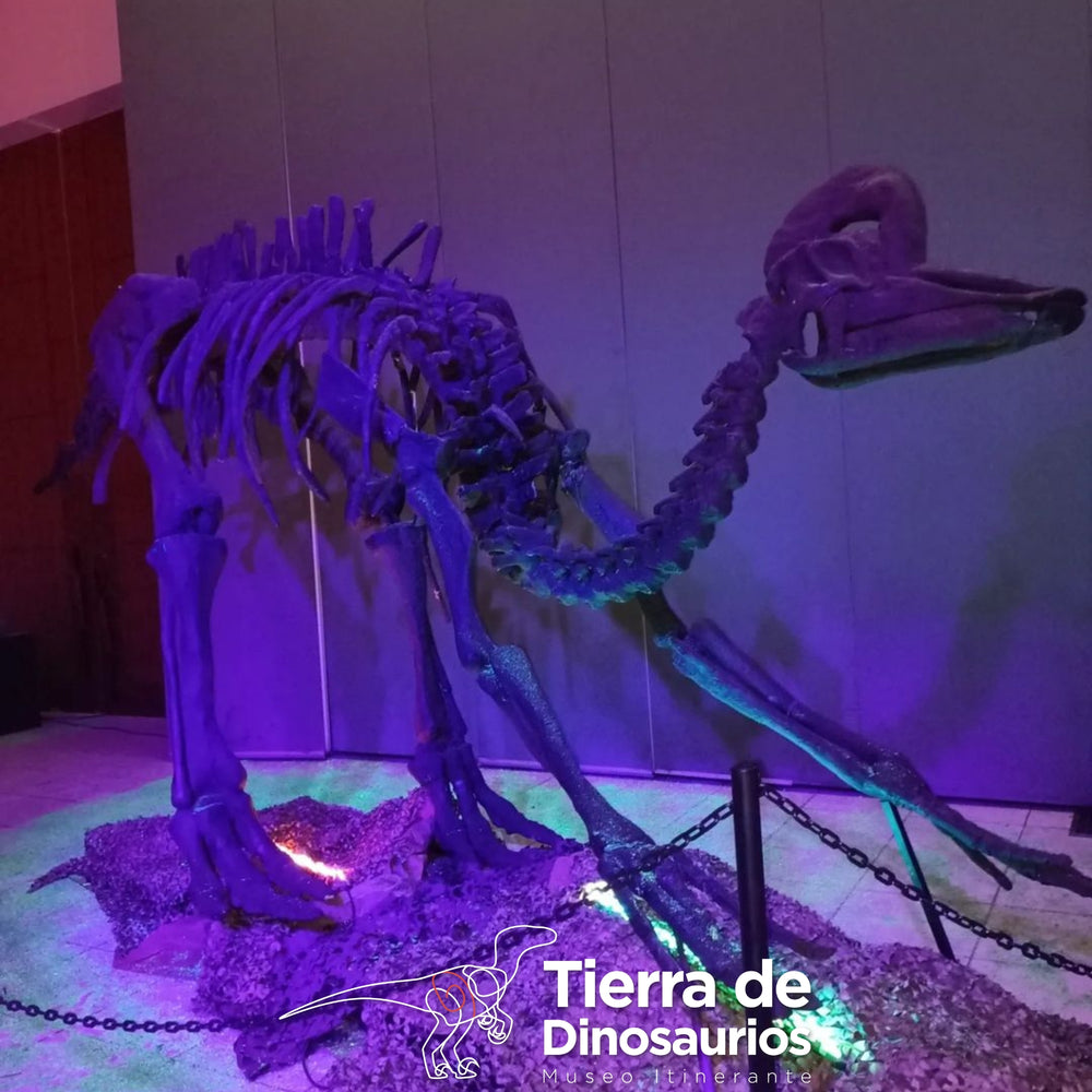 
                  
                    TIERRA DE DINOSAURIOS 18/NOV 11AM - 7PM
                  
                