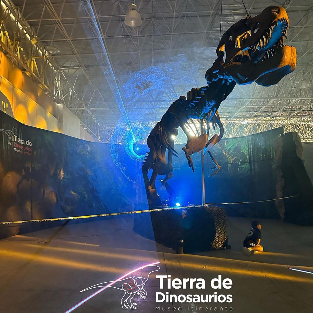 
                  
                    TIERRA DE DINOSAURIOS 17/NOV 11AM - 7PM
                  
                